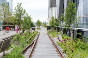 Looking down the high line tracks, which will be a topic at the 2021 utopian hours