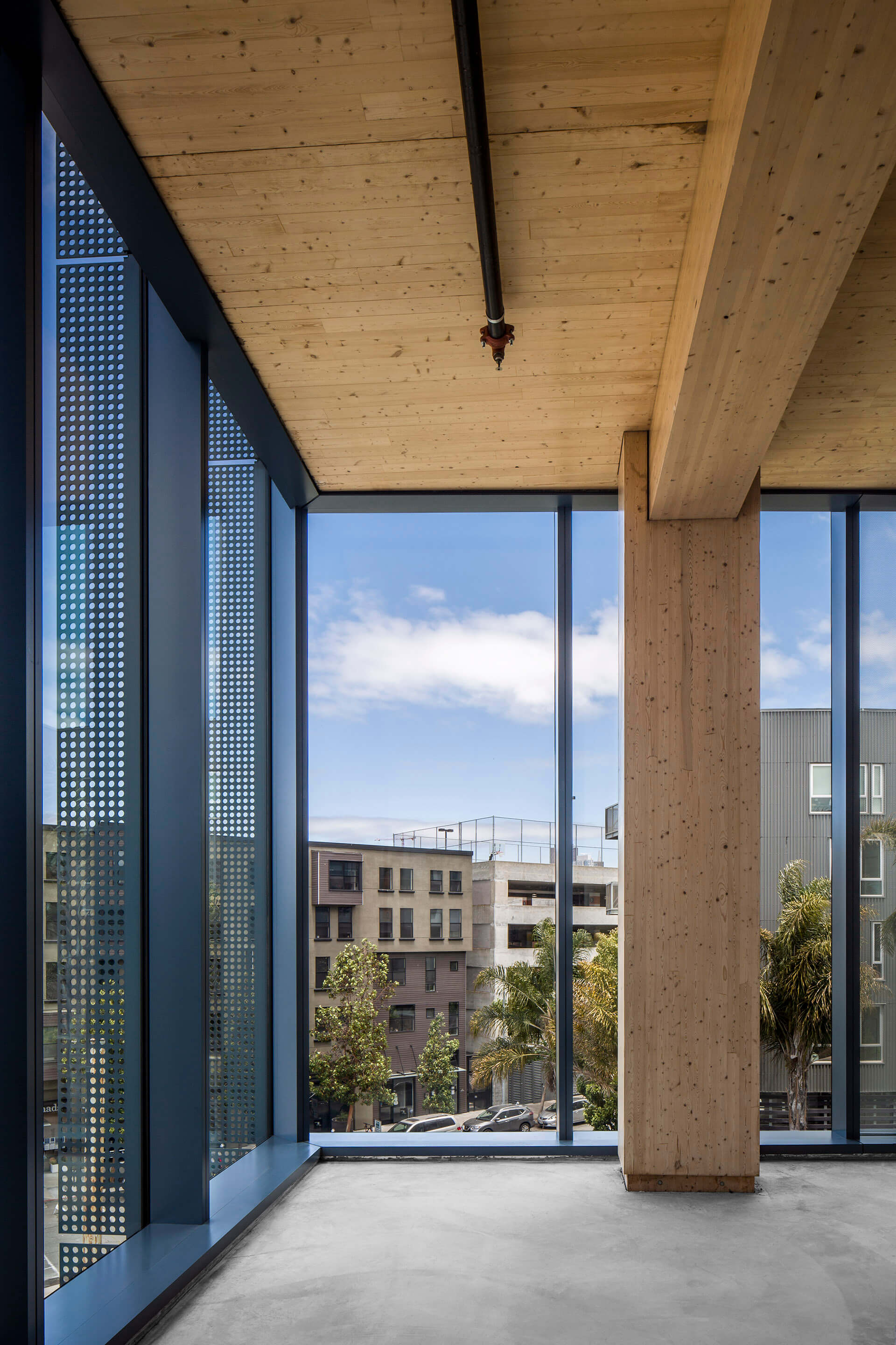 interior view of a mass timber office space with floor to ceiling windows