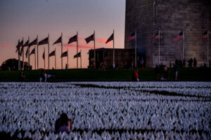 A sea of white flags assembled in D.C. for In America: Remember