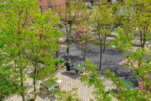 a man sit in leafy urban green space