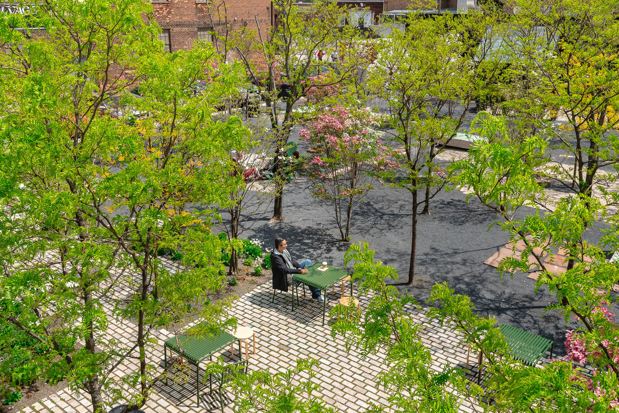 a man sit in leafy urban green space