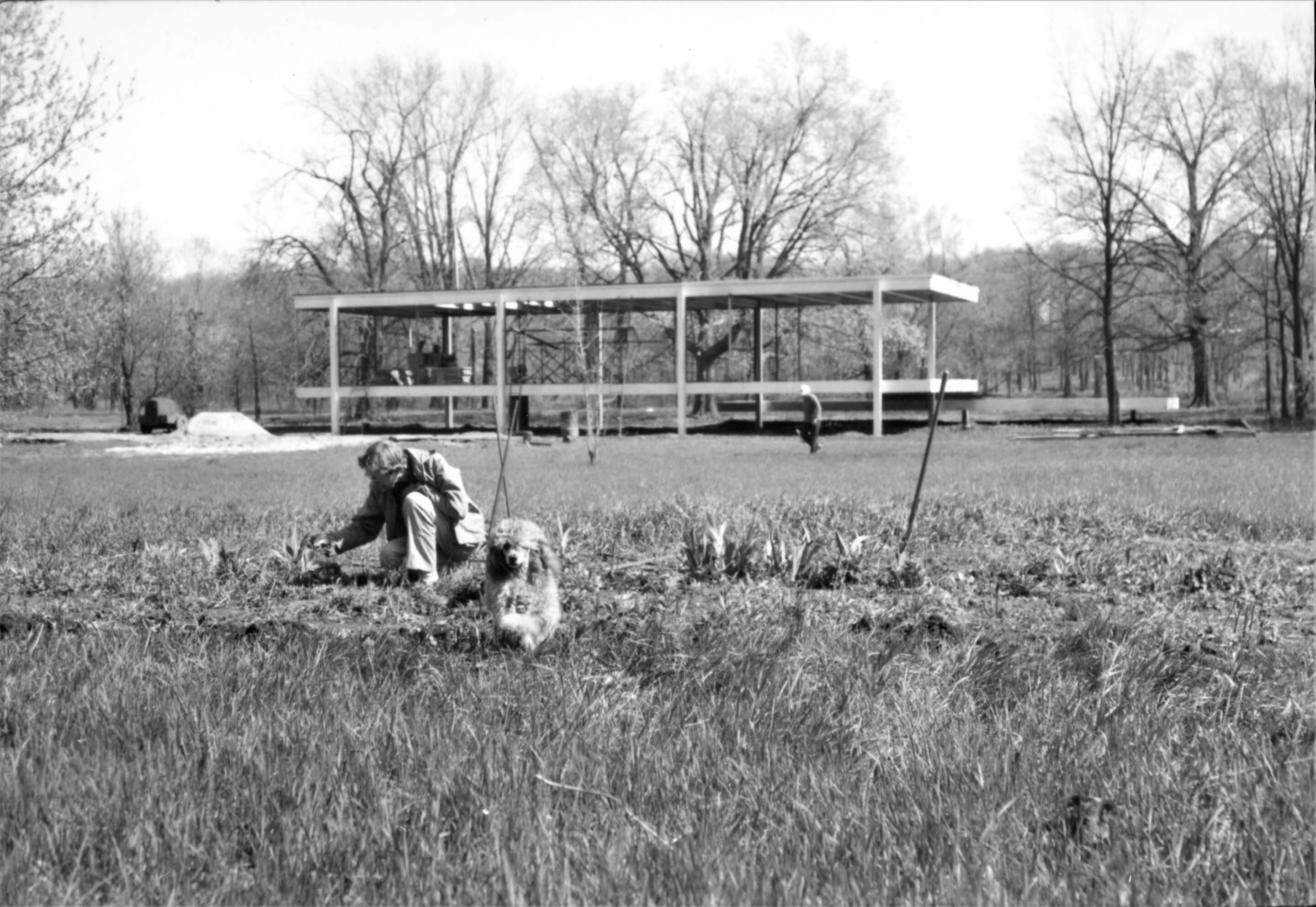 black and white photo of the edit farnsworth house and poodles