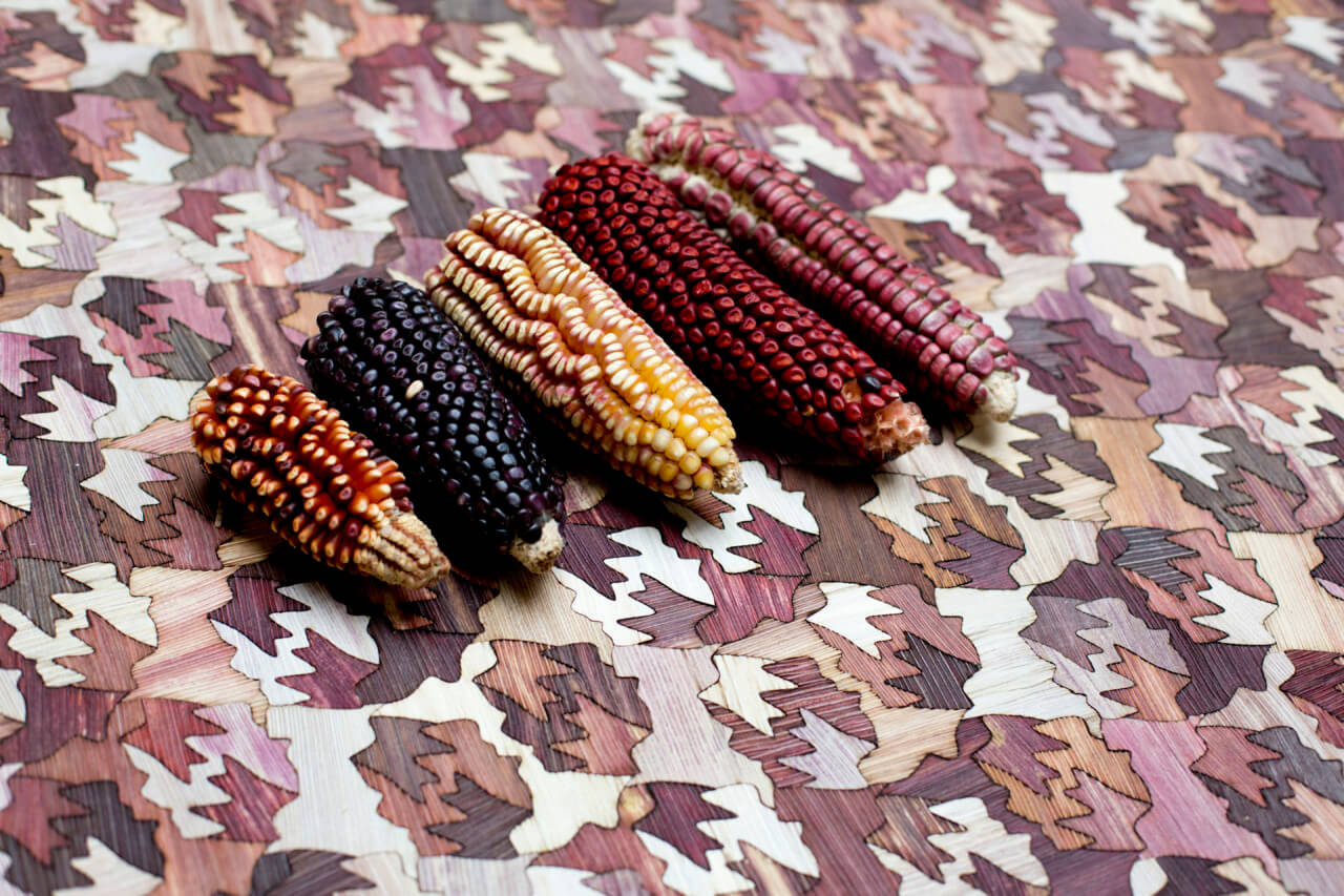 corn against a textile backgorund