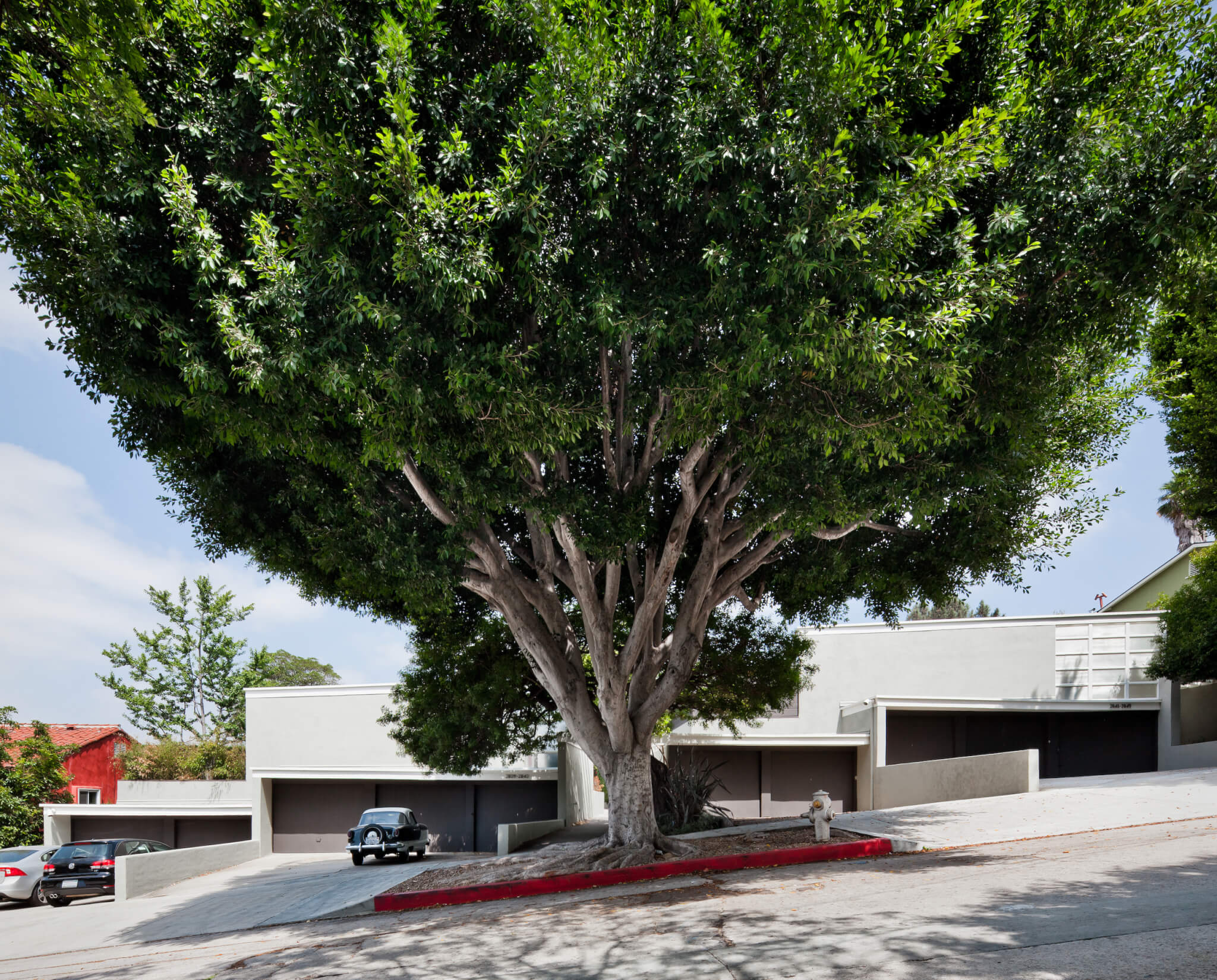 a modernist home on a hilly street with a large tree out front