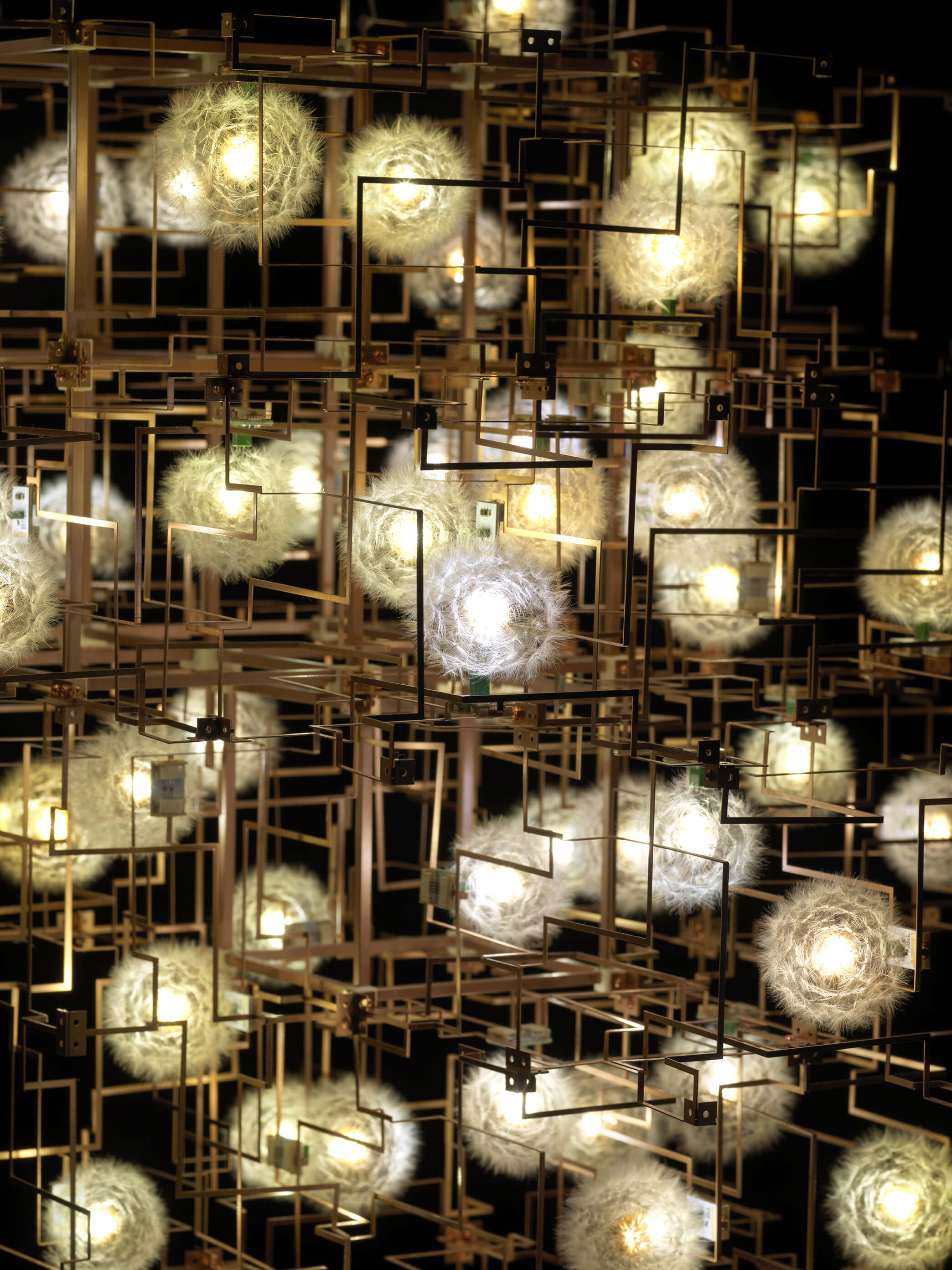 A complex grid of lights, the self titled fragile future