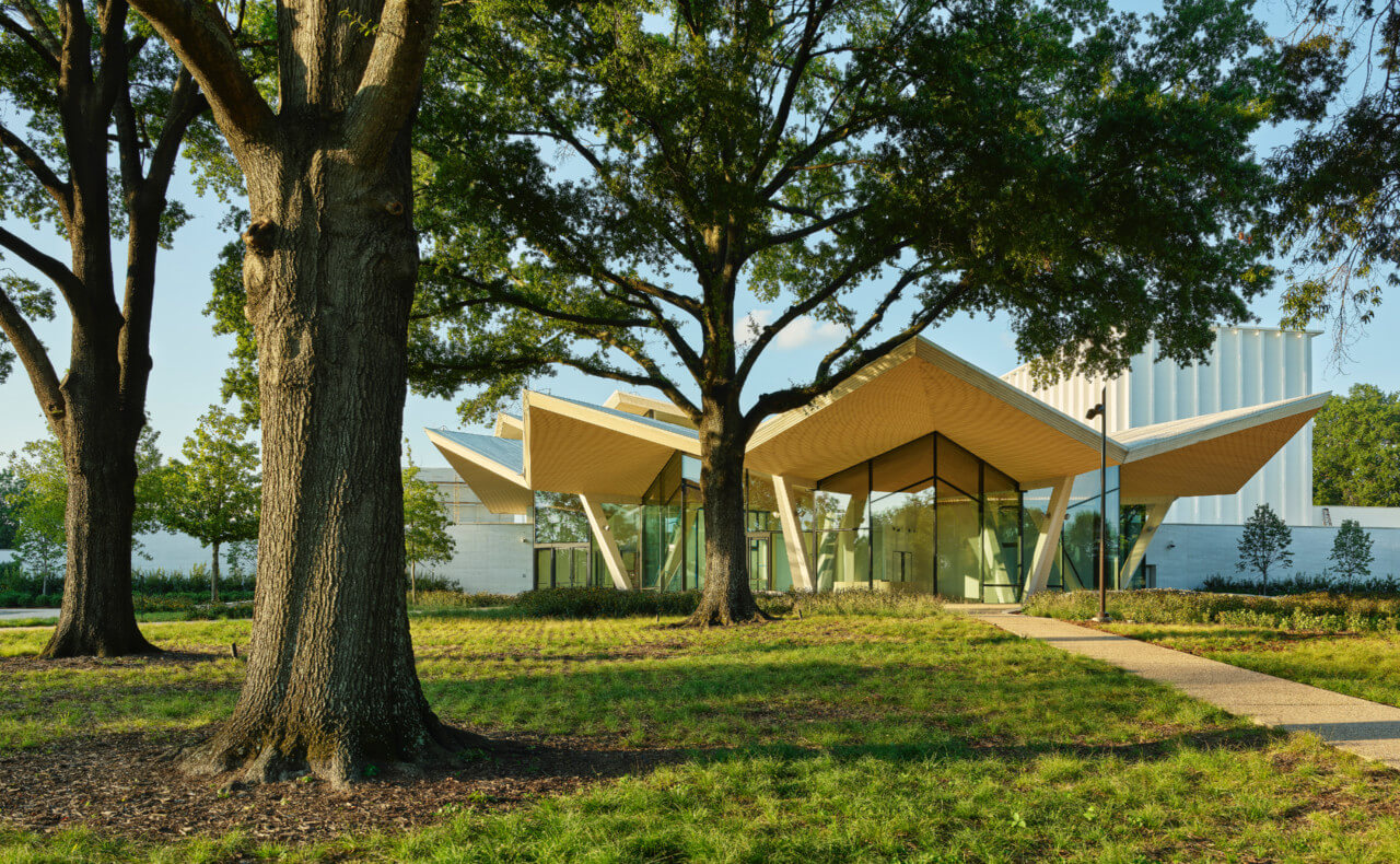 view through trees of a museum building with a pleated roofline