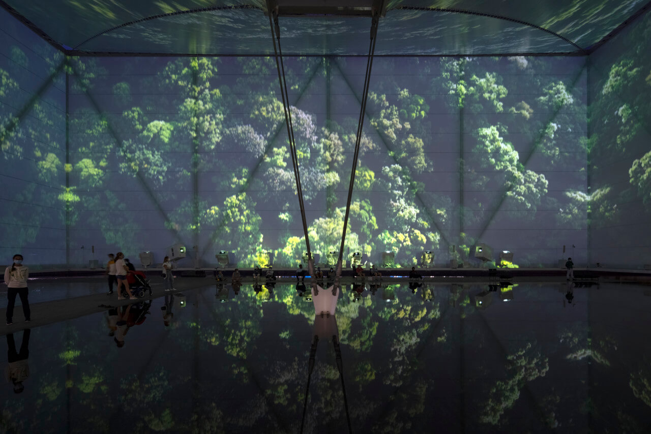 immersive digital projections in a large enclosure