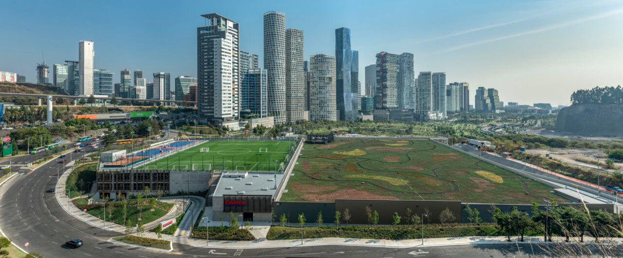 view of a city skyline and a green-roofed topped costco