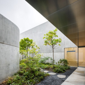 looking at a best of design 2021 winner, with concrete overhang above a garden