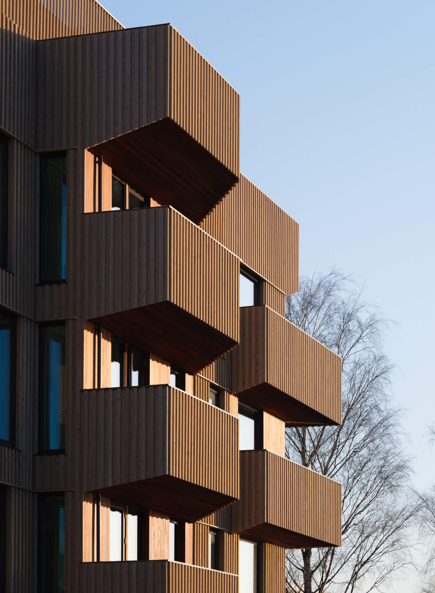 oblique view of a timber-clad facade