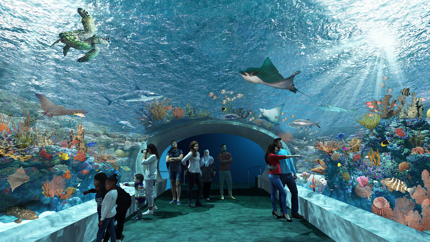renderings of a glass-enclosed tunnel at an aquarium with brightly colored coral