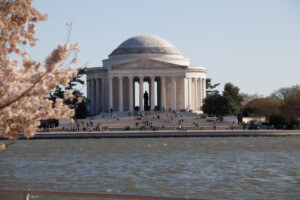 the jefferson memorial with a cherry tree in the foreground