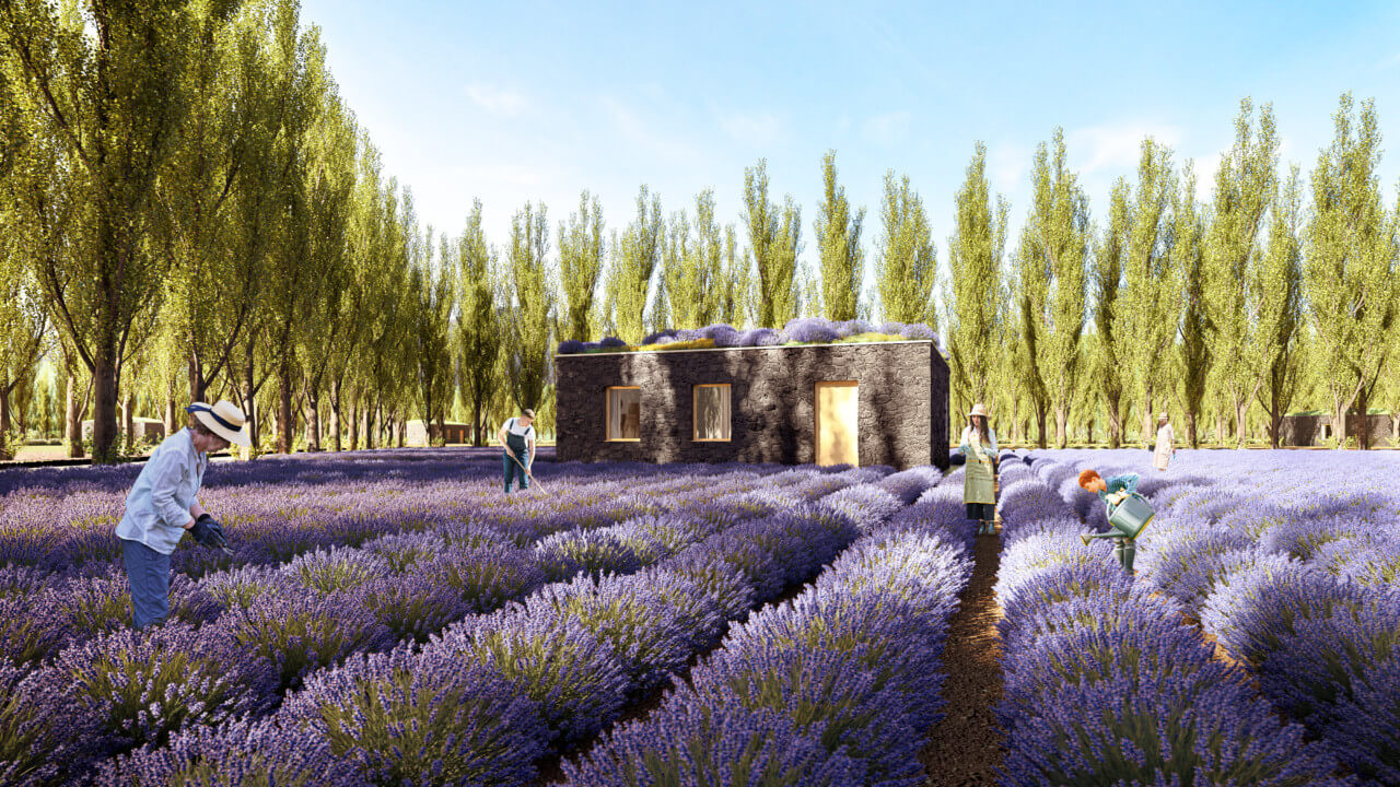 rendering of a lush, lavender-filled agricultural plot