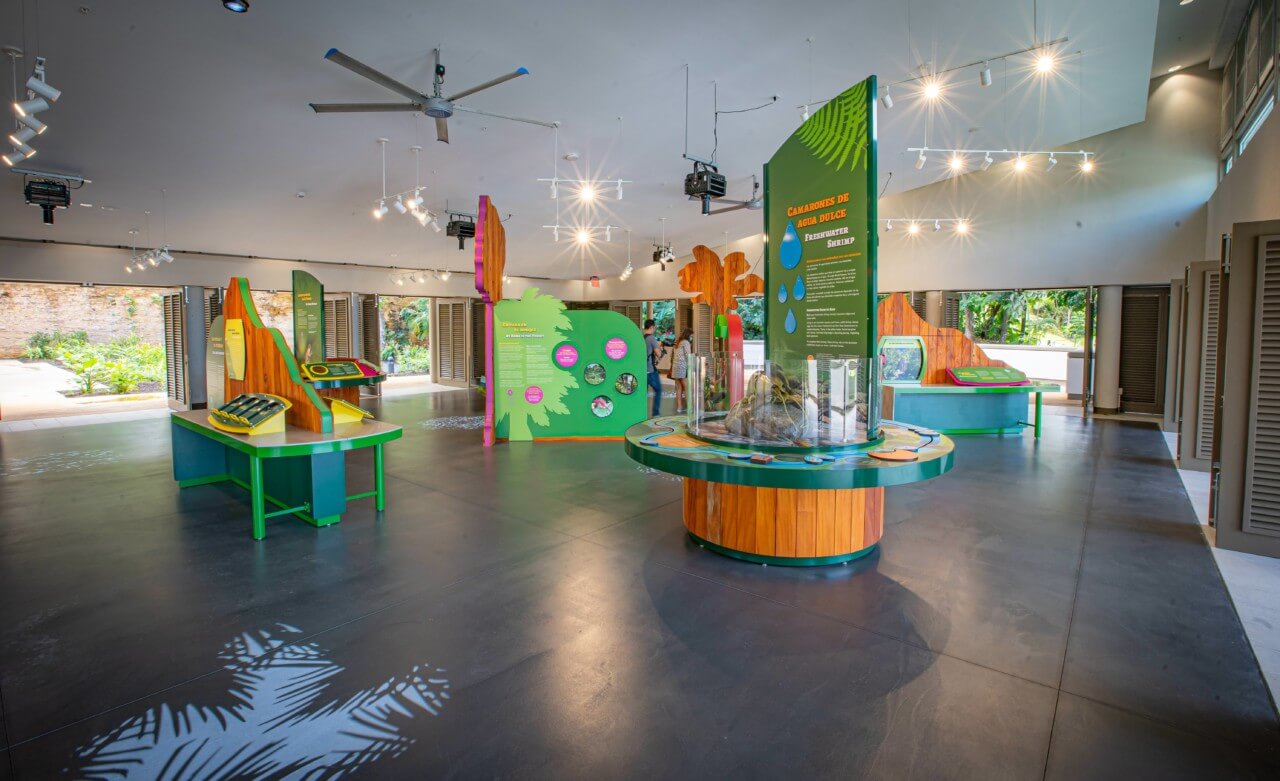 educational exhibits at a visitor center in eye-popping colors