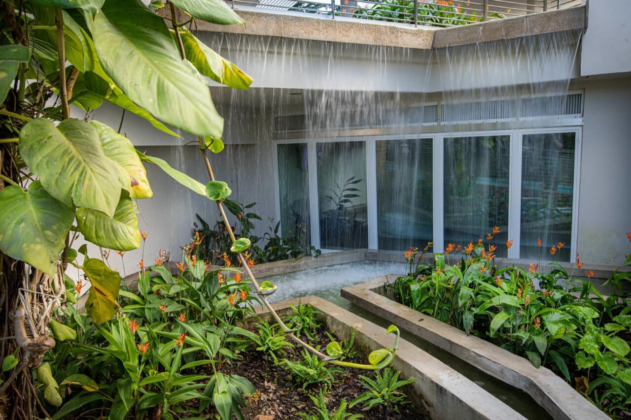 a lush garden and water feature