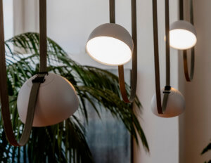 light fixtures with plant
