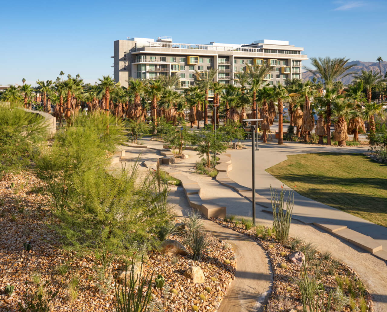 pathways in a desert park with palm trees in the background