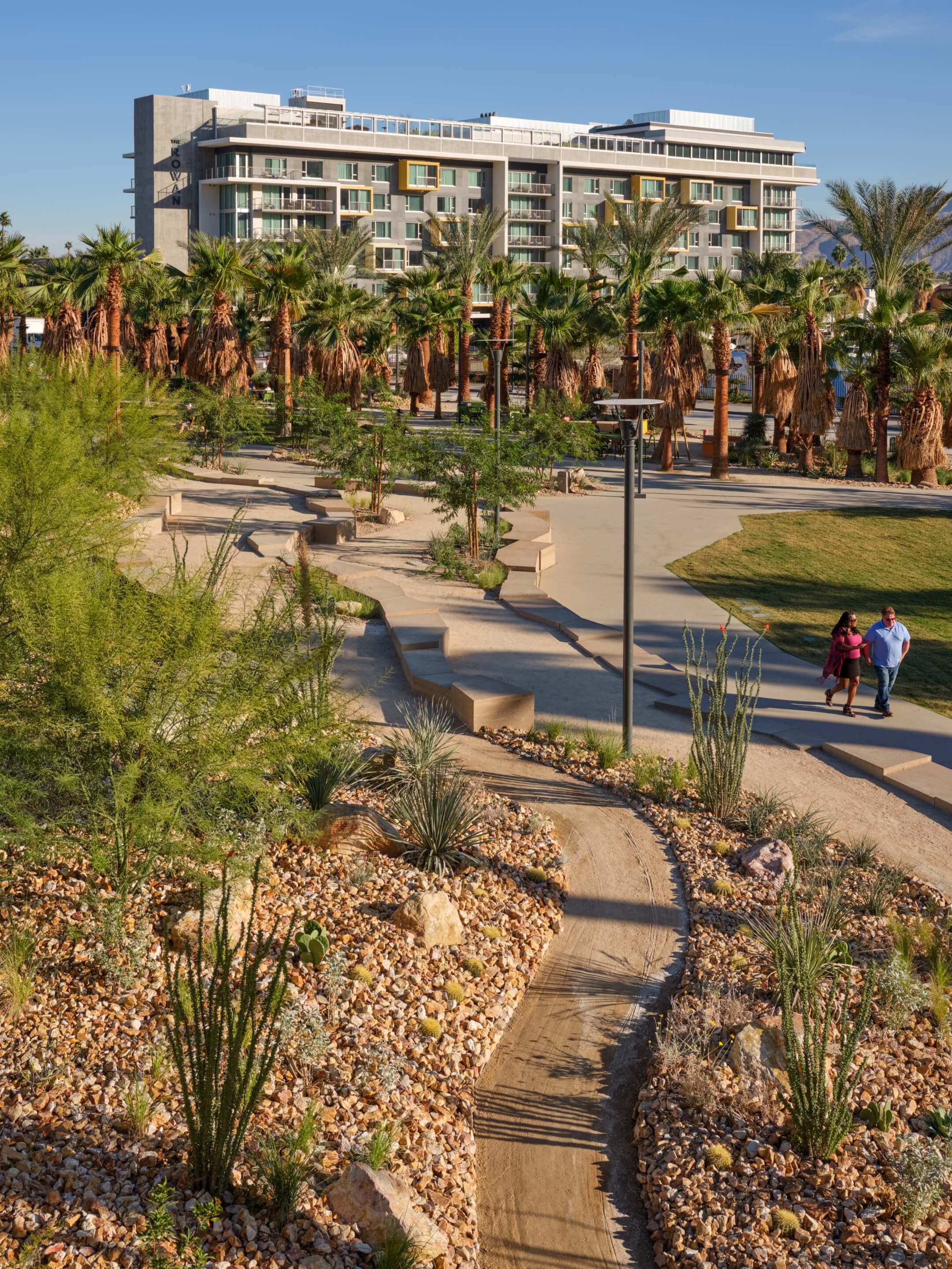 people walk along a path in a desert park with palm trees in the background