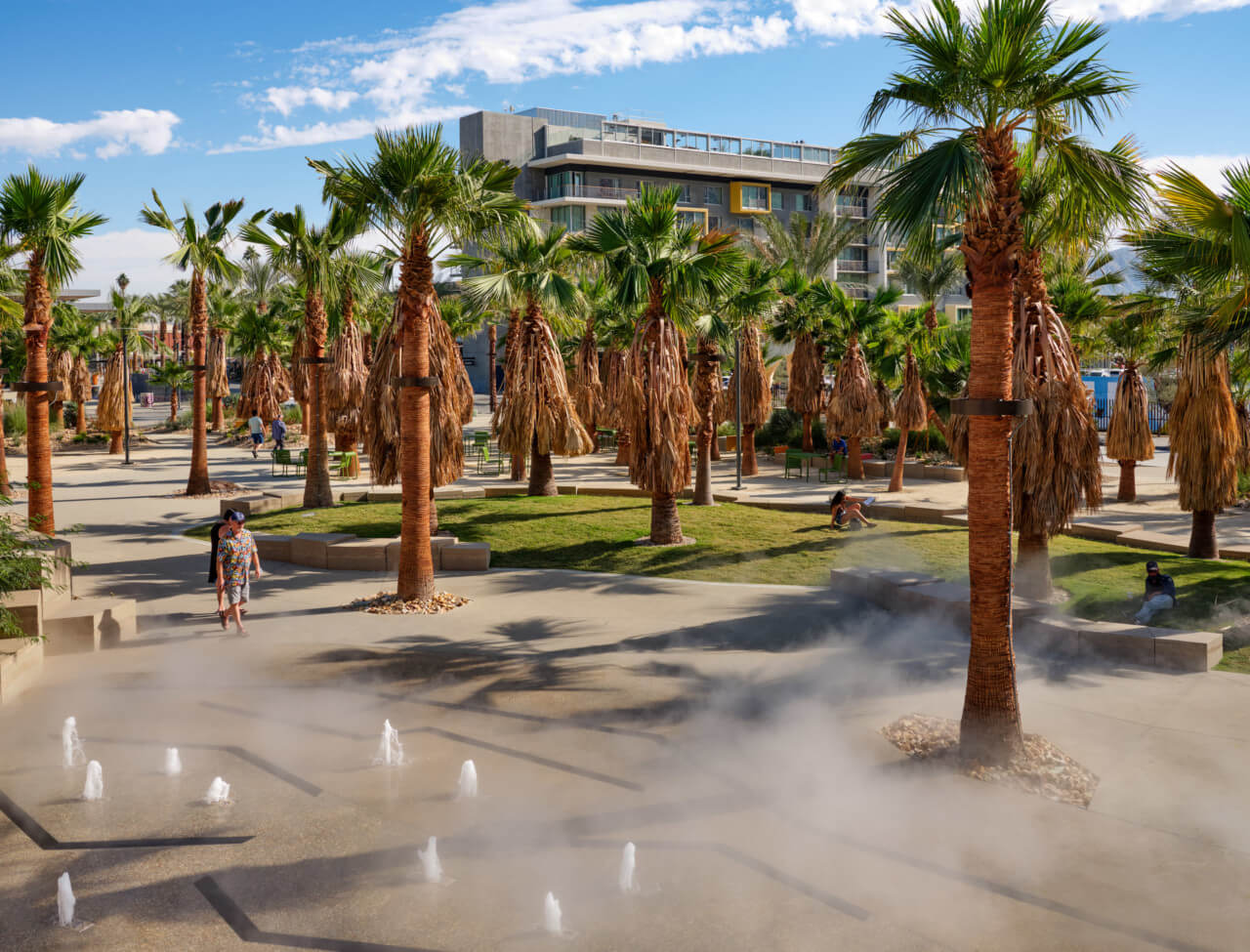 a misty water features in a palm tree-studded park space