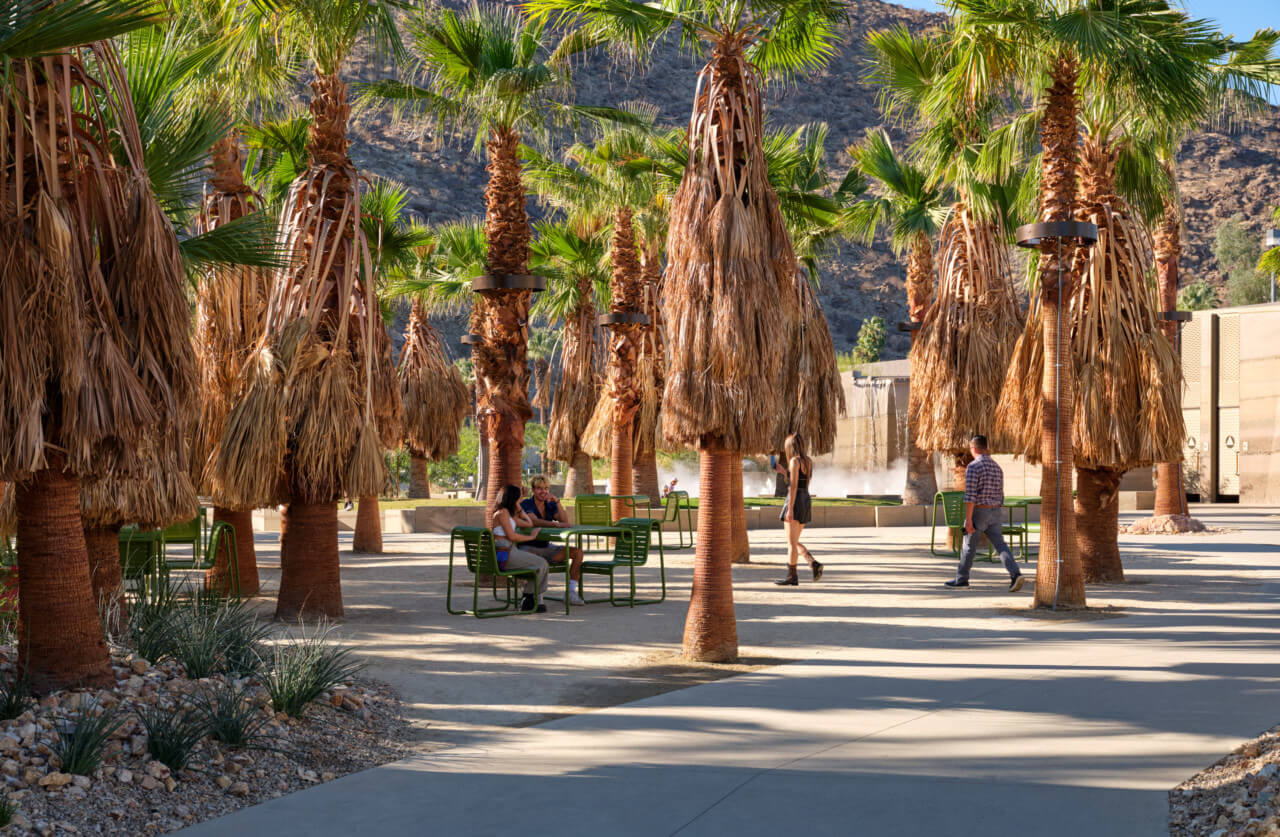 Palm trees in a mountain-flanked public downtwon park