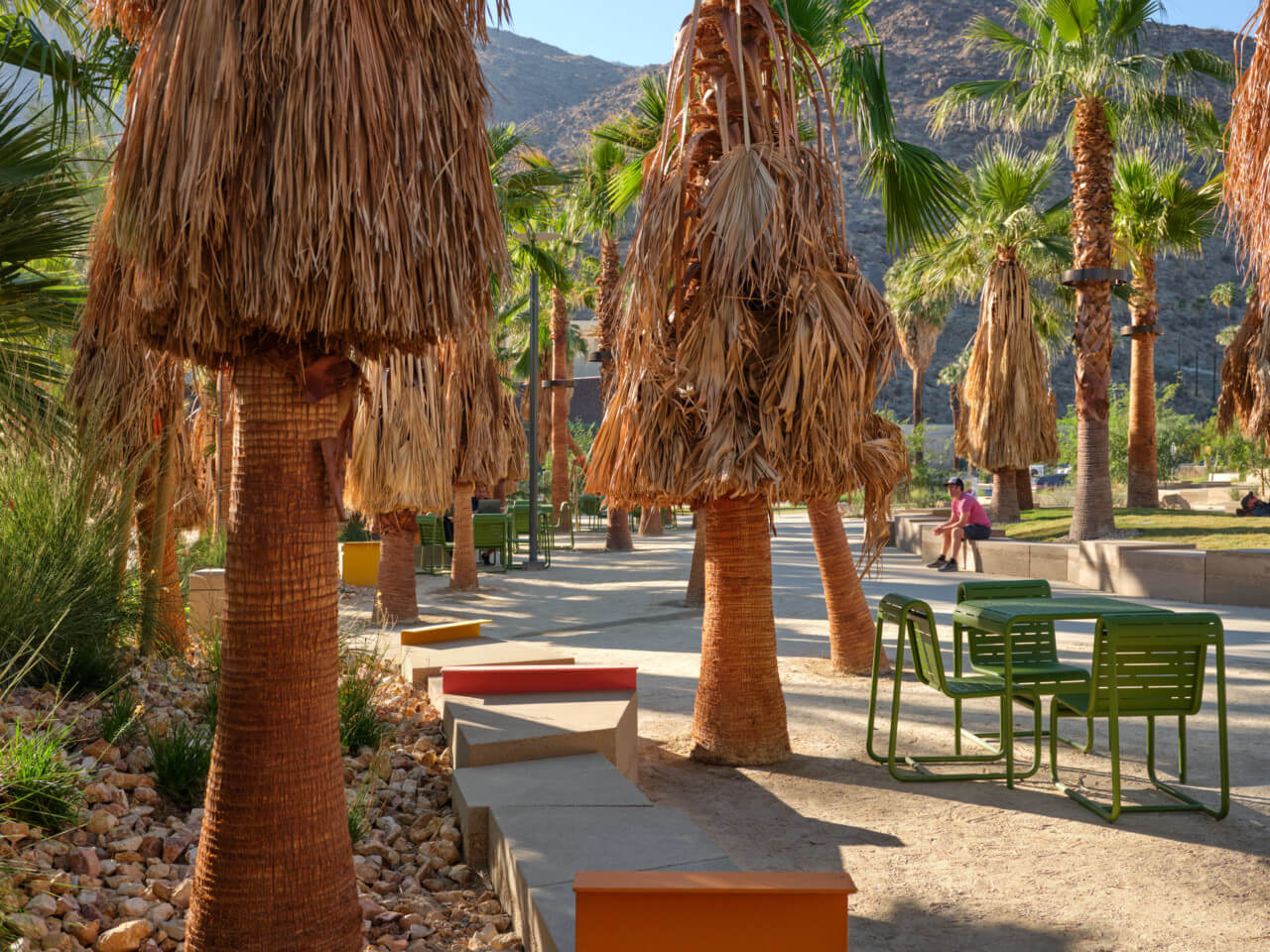 seating in a palm-tree lined park