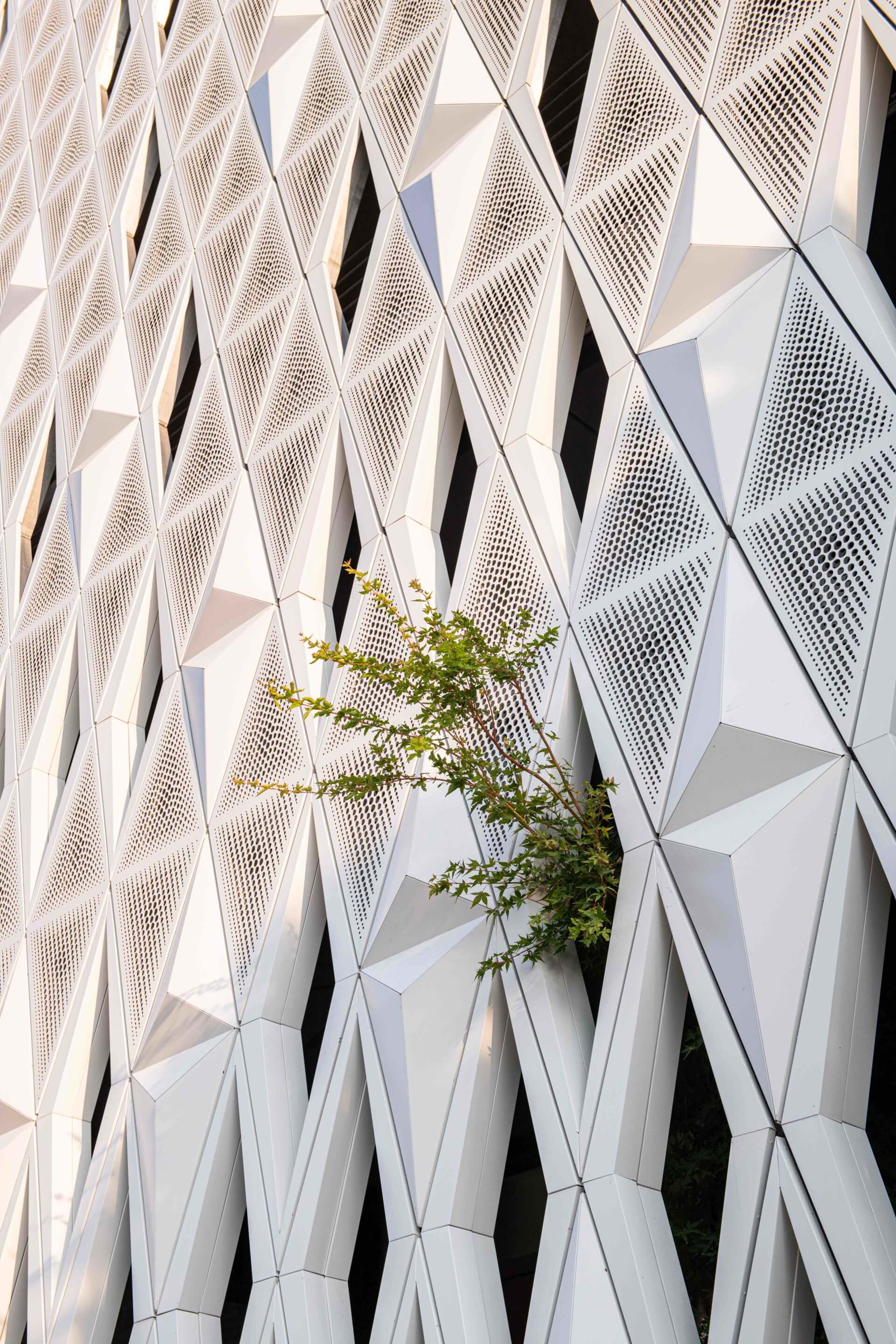 a screen of perforated white aluminum panels