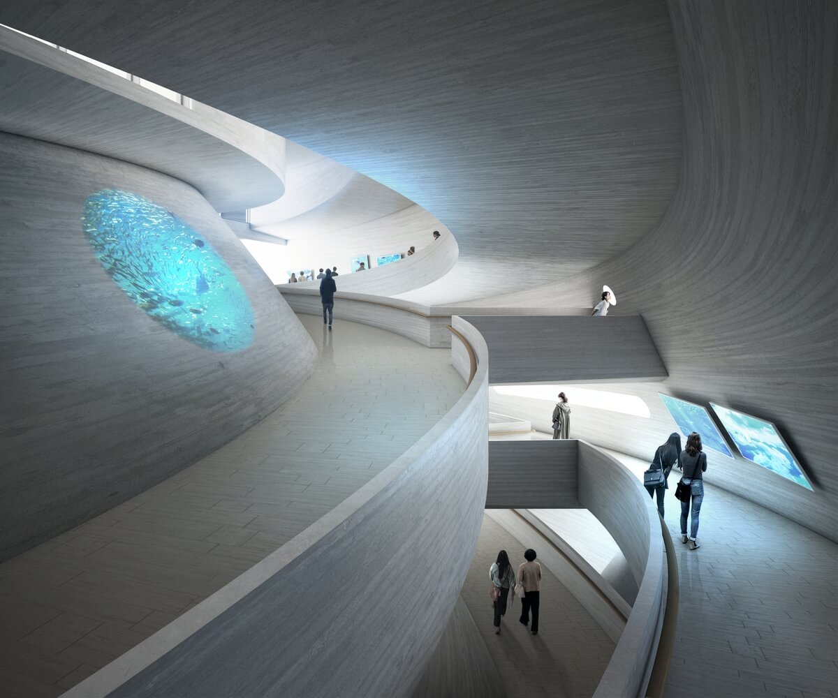 rendering of an exhibition space with curving walkways
