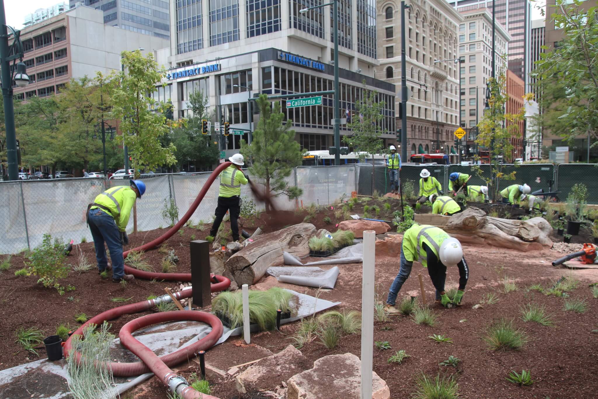 workers apply mulch at an urban park in downtown denver