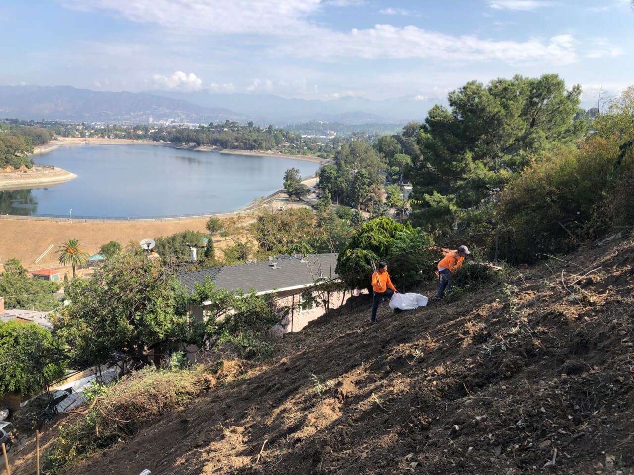 landscape workers on a hillside over a reservoir in L.A.