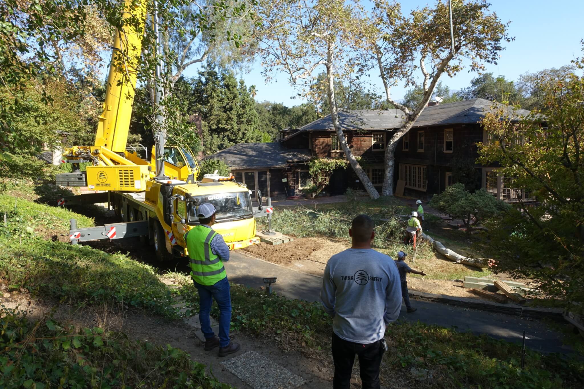 a tree demolition in southern califonia 