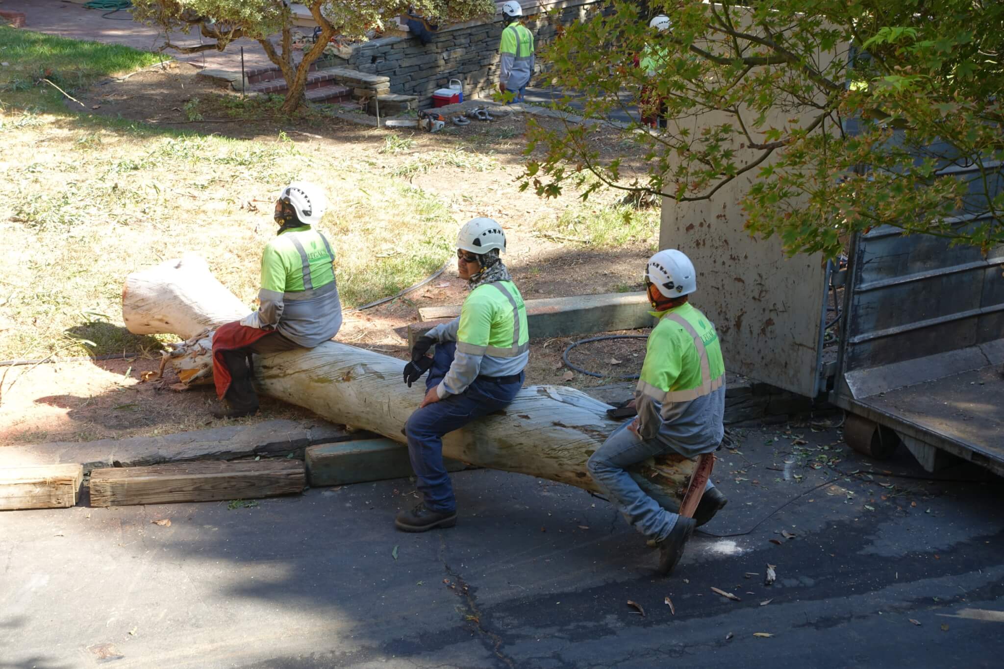 landscape workers sitting on a section of a felled tree