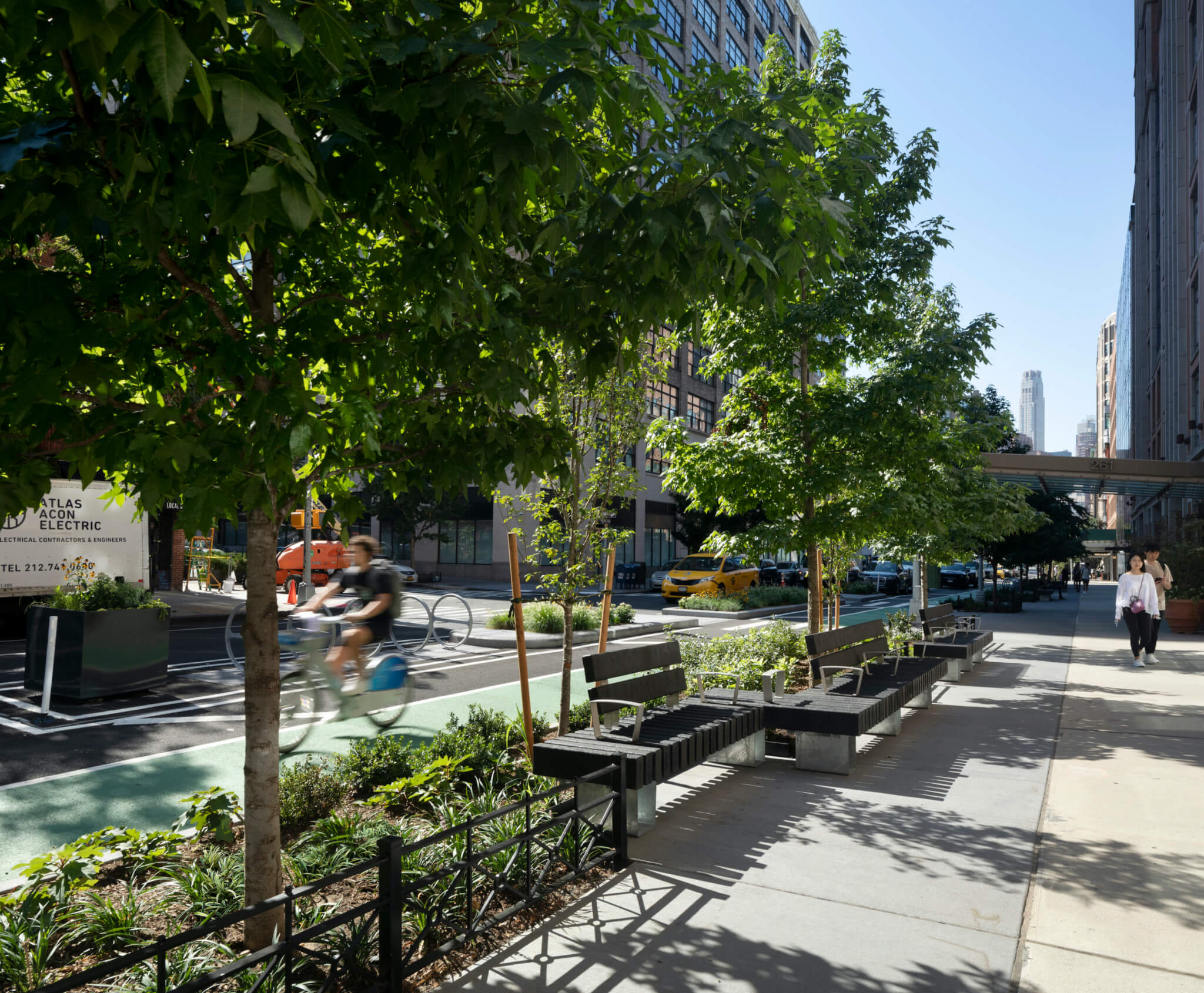 a multimodal street lined with trees in manhattan