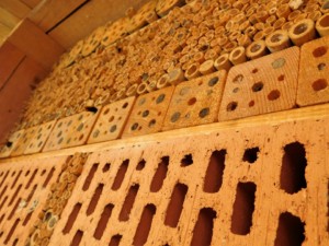 a wall of brick arranged into an insect hotel