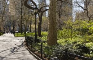 a new york city park