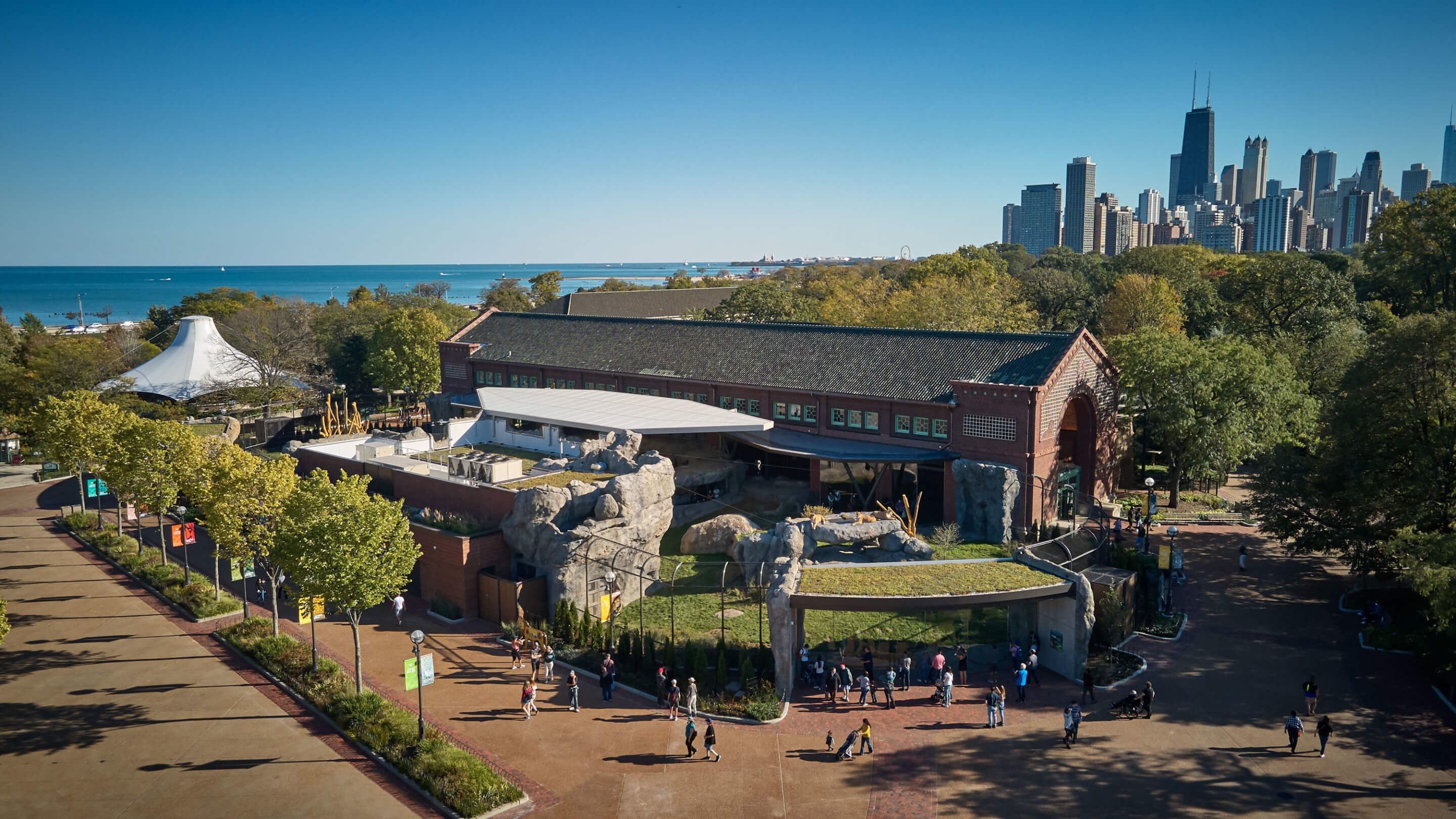 overhead view of a large zoo enclosure with the chicago skyline in the distance
