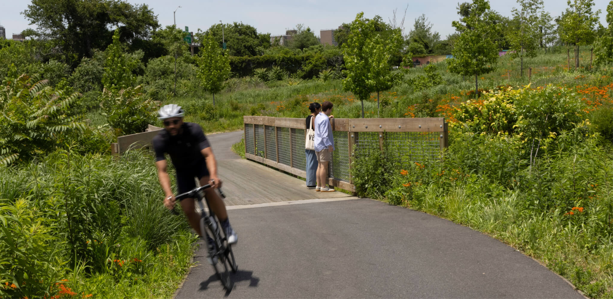 cyclists and pedestrians move along a wildlife trail in brooklyn