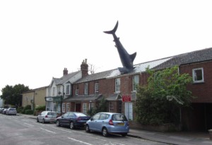 street view of a row of homes with a shark embedded into the roof of one