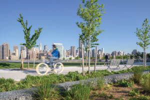 a person rides a bike in a waterfront park