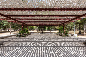dappled reflections of a shade structure