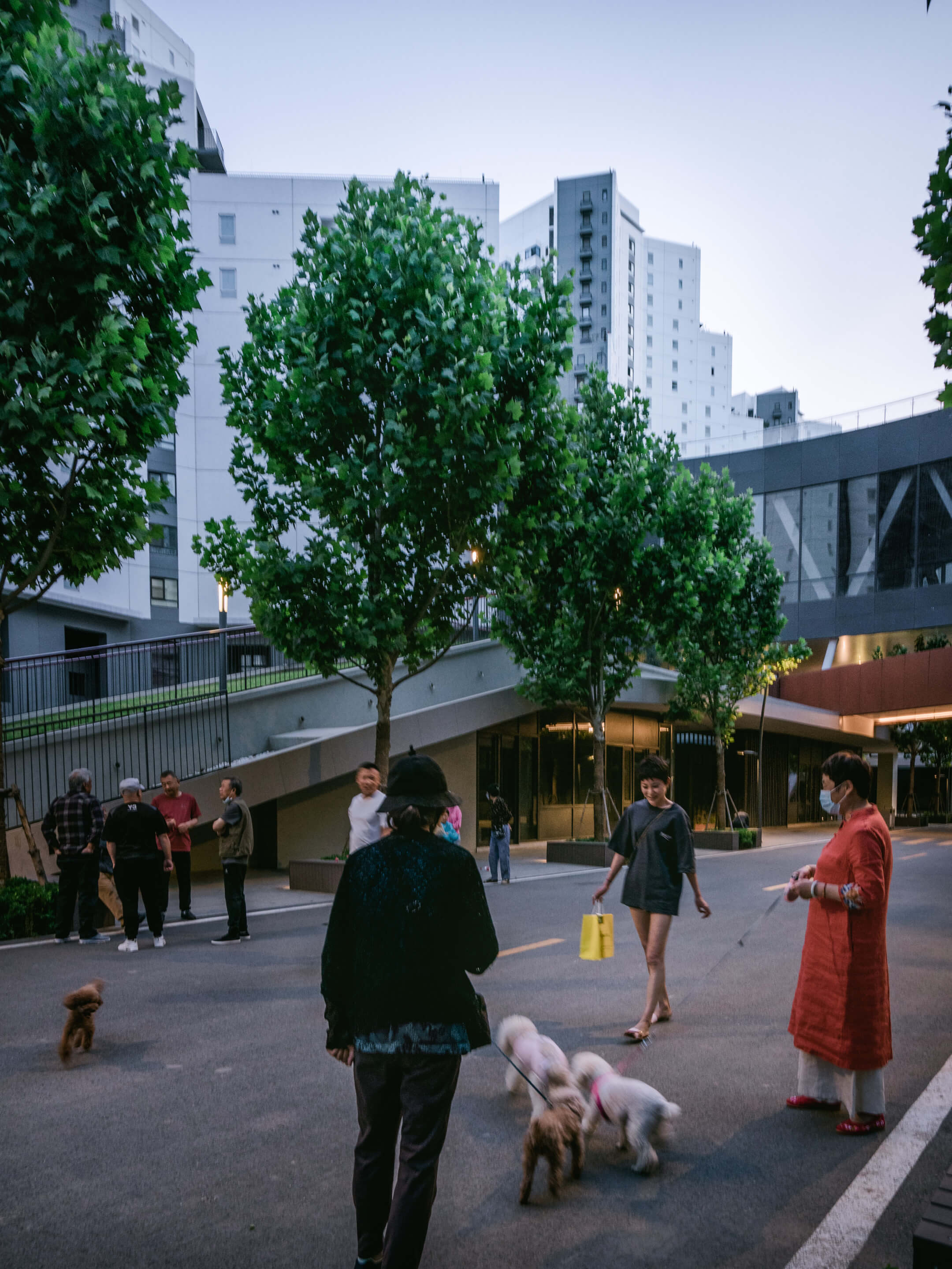 people and dogs congregate on the street at a beijing housing development