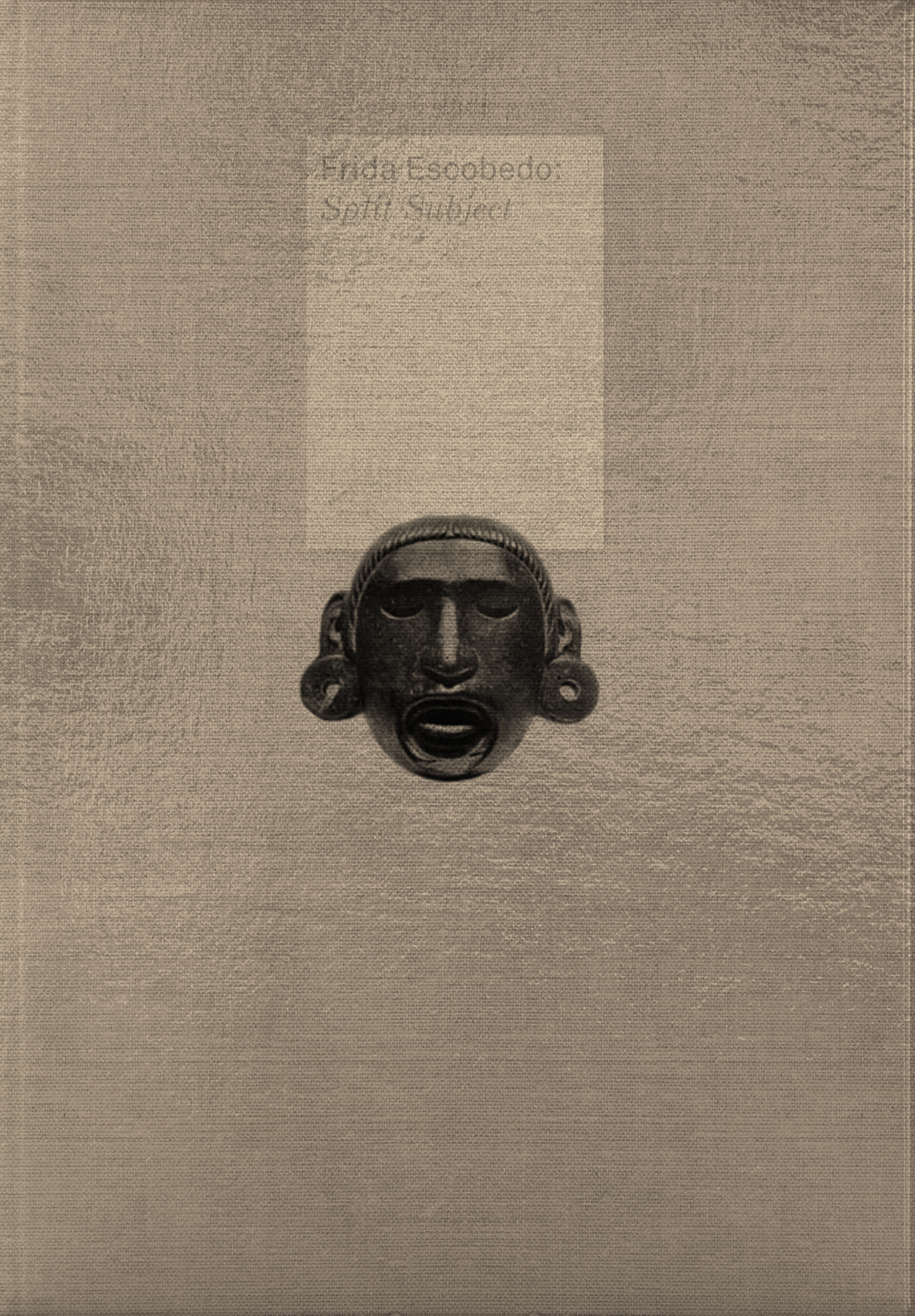 cover of Frida Escobedo: Split Subject