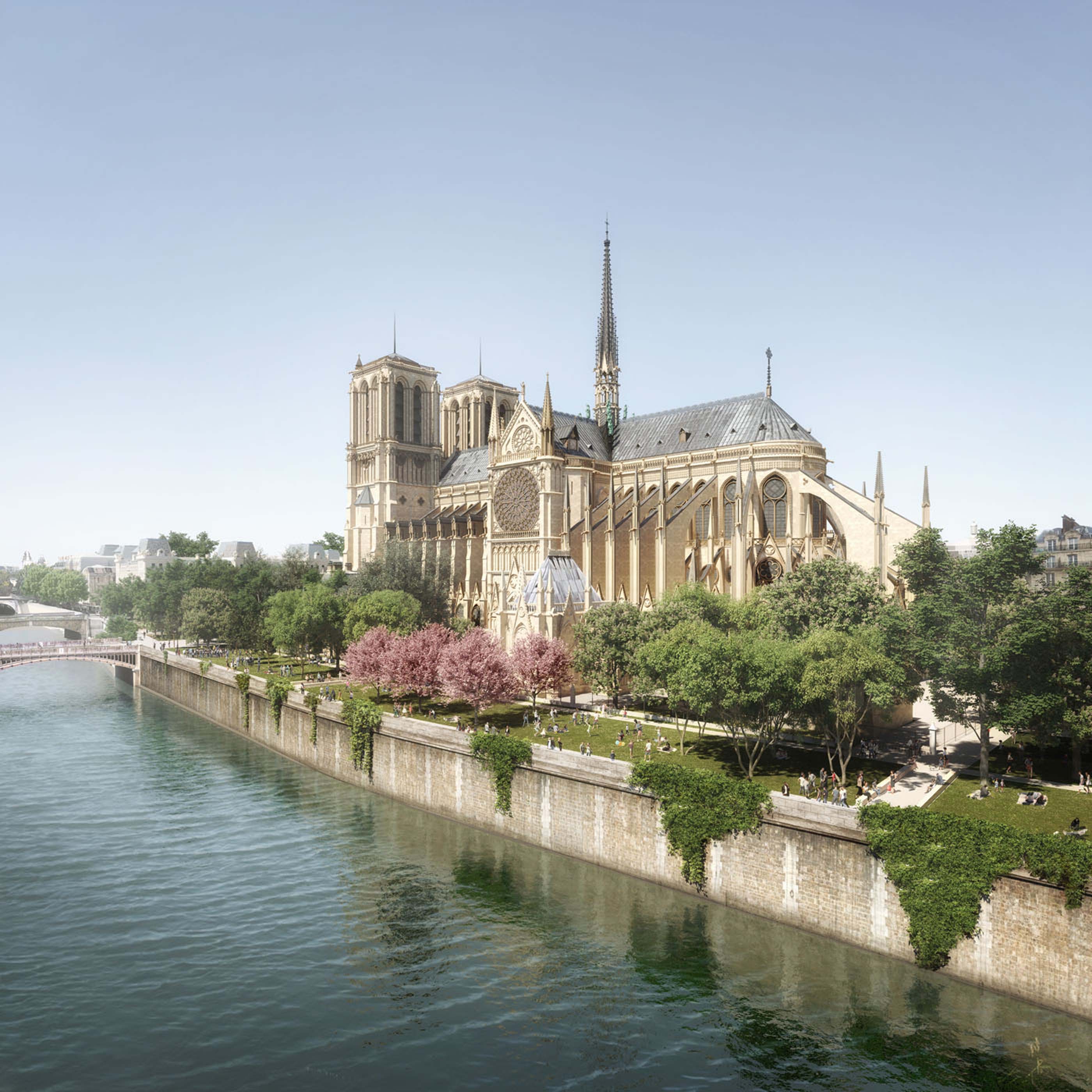 riverbank and view of notre dame cathedral surrounded by plants