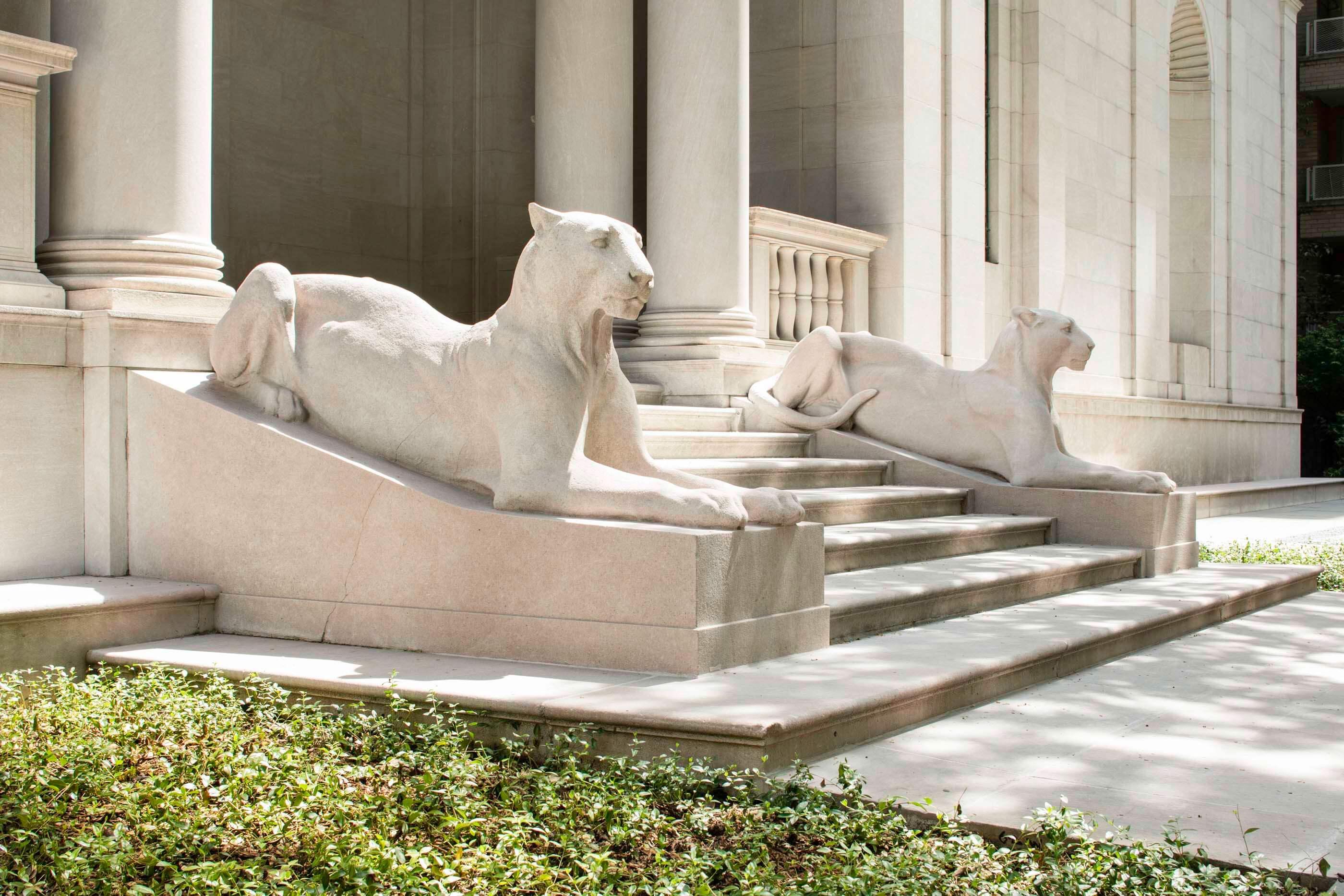Restored lioness in front of Morgan library