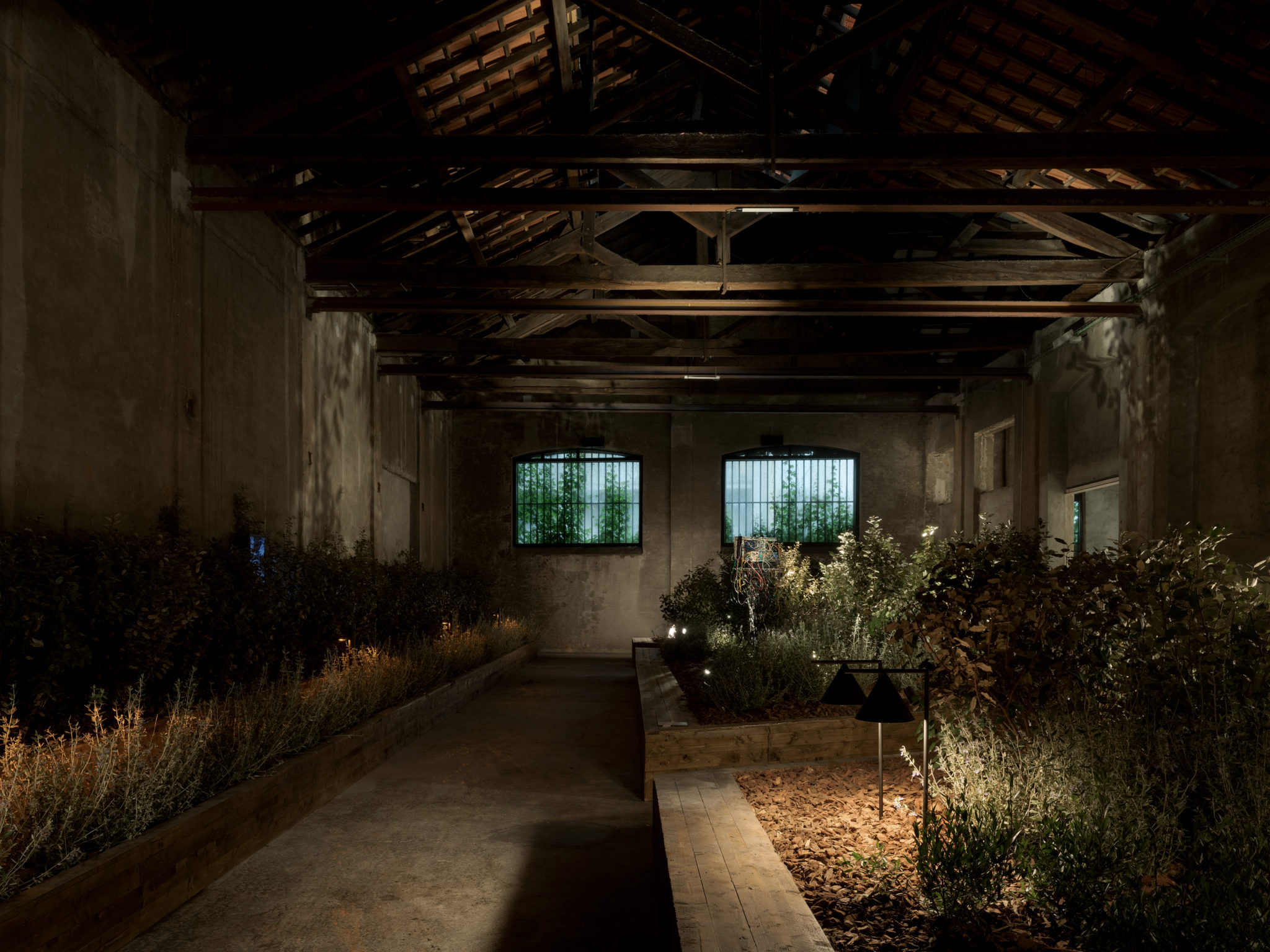 plants in dark warehouse space