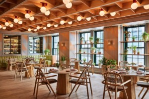 an airy restaurant with lots of natural wood and casual seating