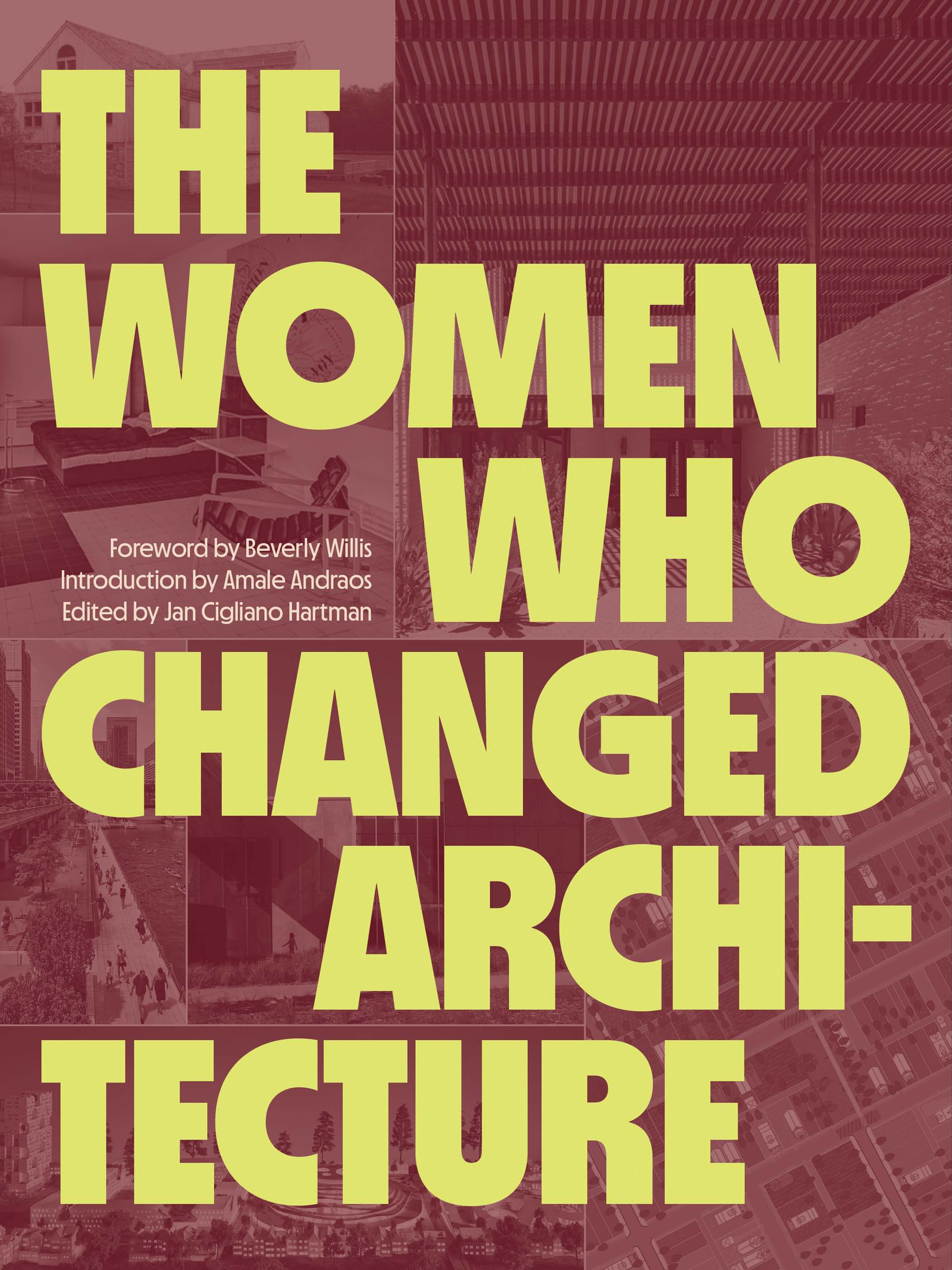 cover of book the women who changed architecture