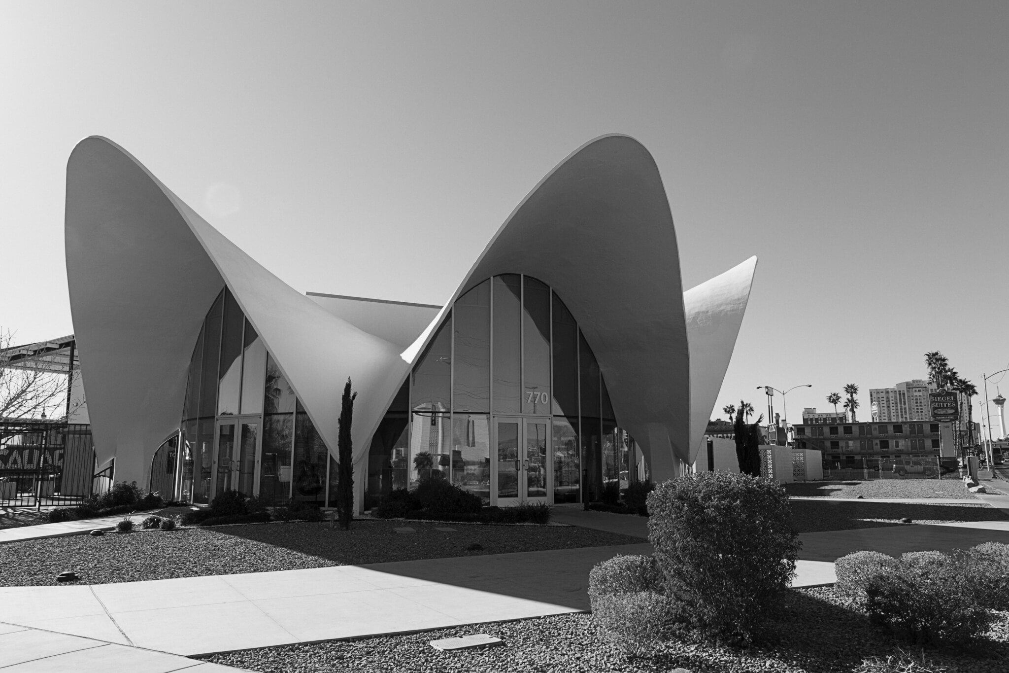 B&W photo of a midcentury building with a swooping roof