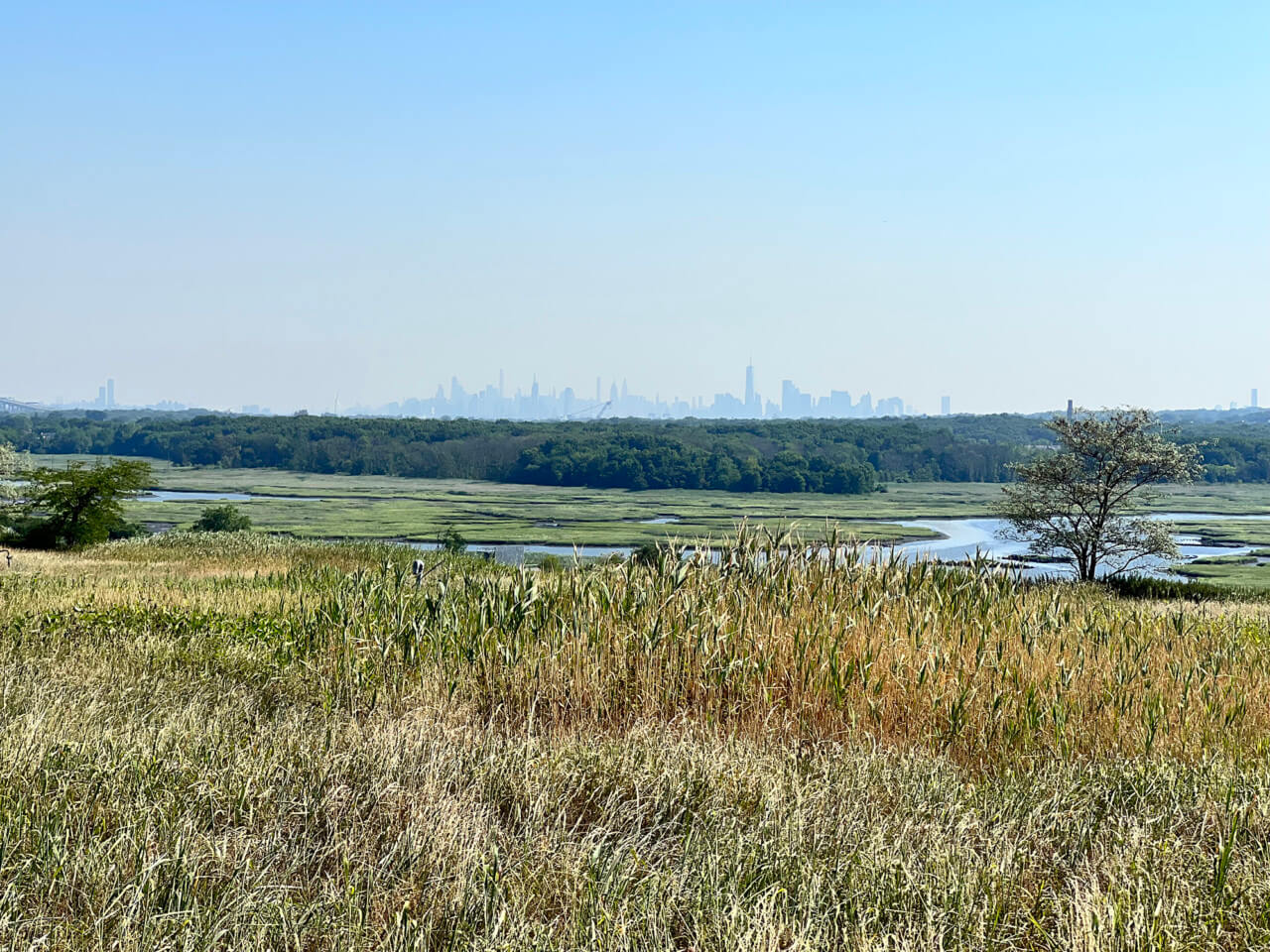 Freshkills Park with view of city