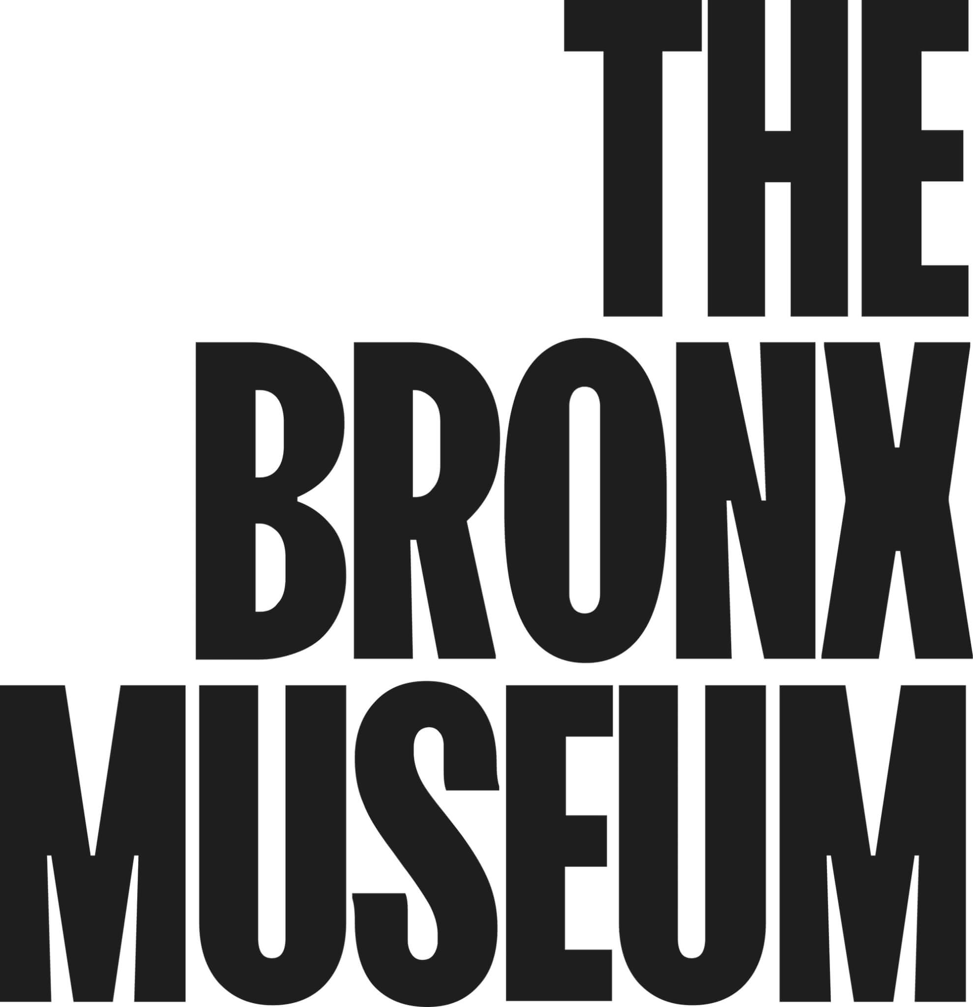 bronx museum logo