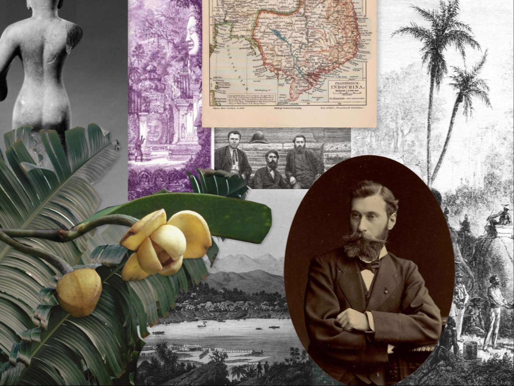 collage with plant, portrait and maps